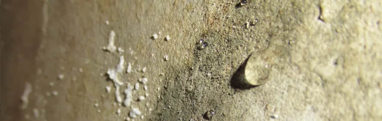 Mokra ściana wewnętrzna co zrobić: skuteczne sposoby na wilgoć