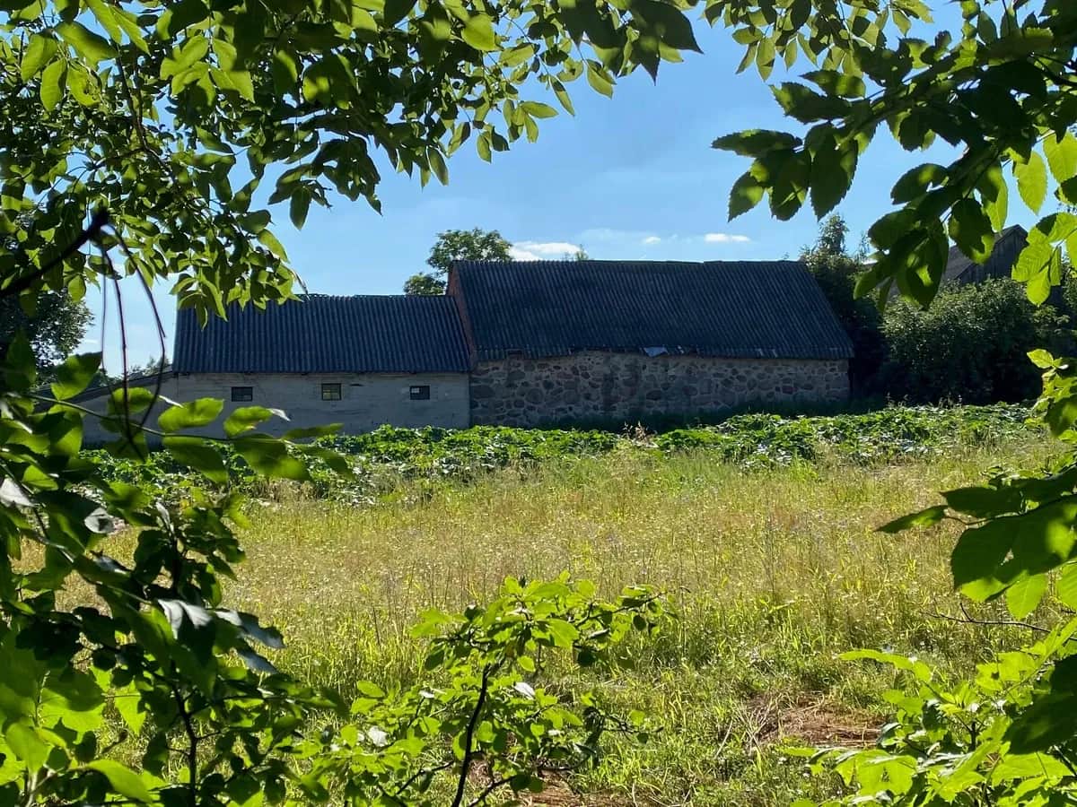 Wymiana dachu dofinansowanie - jak uzyskać wsparcie na usunięcie azbestu