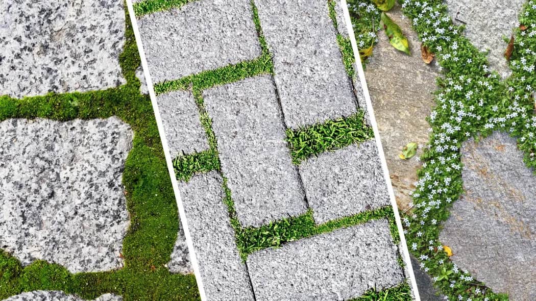 Czym zasypać kostkę brukową, aby uniknąć problemów z trwałością?