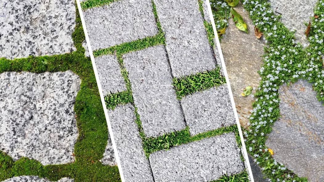 Czym zasypać kostkę brukową, aby uniknąć problemów z trwałością?