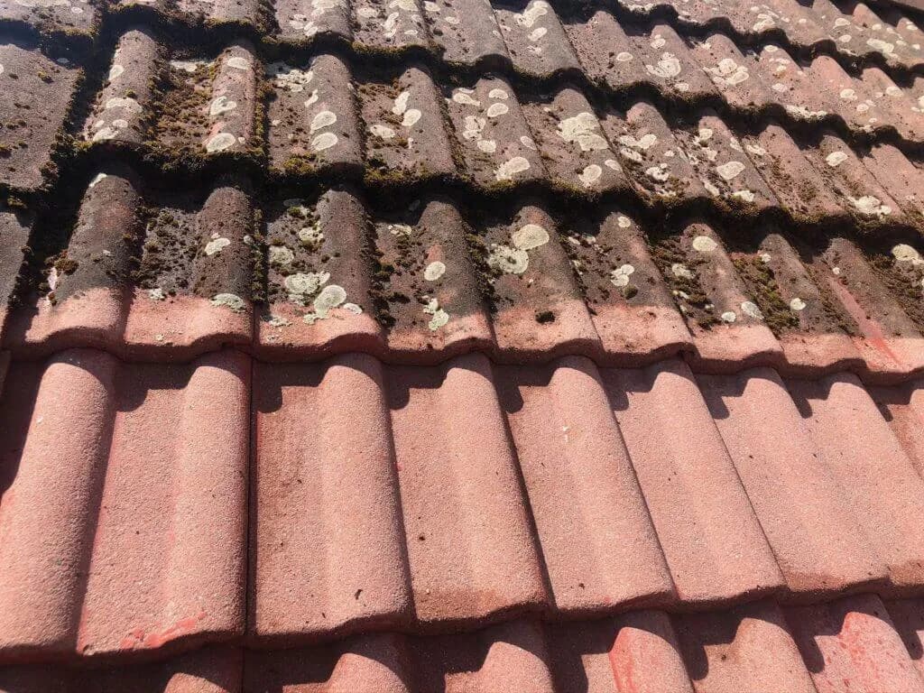 Skuteczne sposoby na to, czym umyć dachówkę ceramiczną bez uszkodzeń