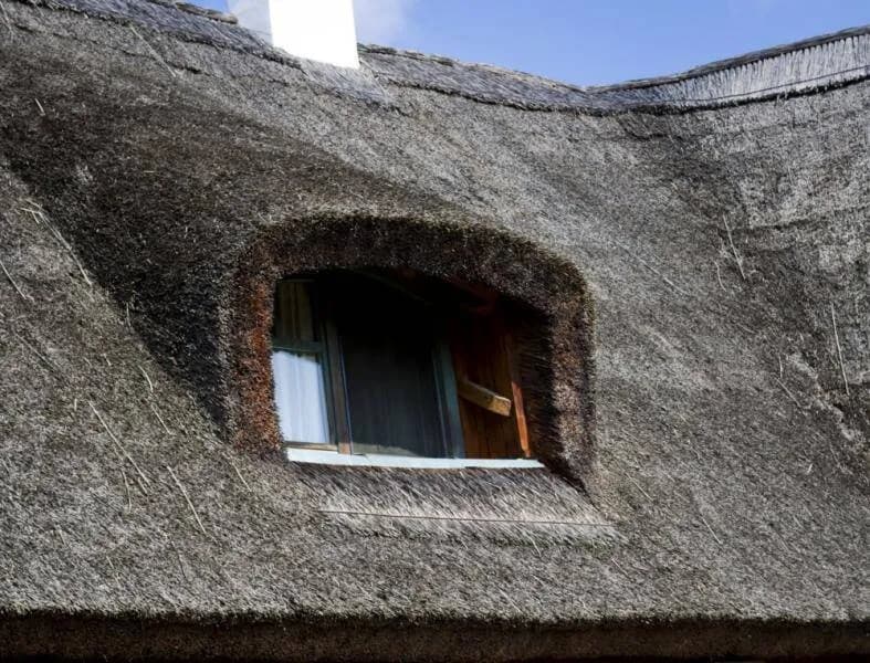 Strzecha na dachu: piękno, trwałość i korzyści dla Twojego domu